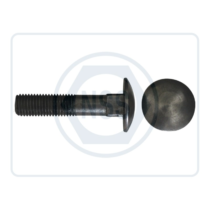 Cup Square Bolts