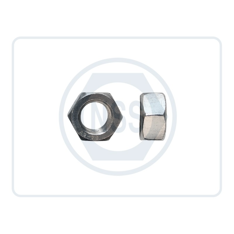 Hex Nuts